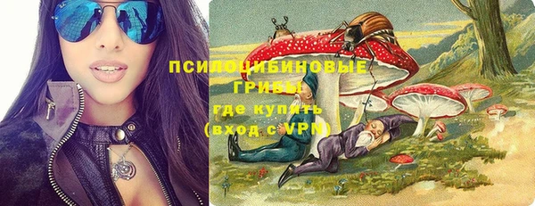 амф Верея