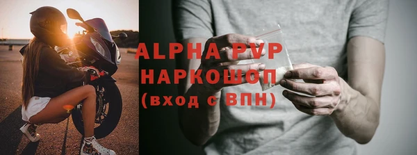 шишки Надым